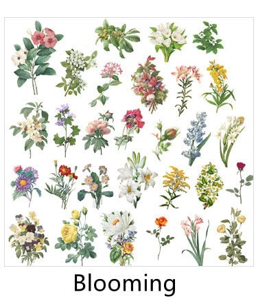 240 Pcs Flower Stickers for Scrapbooking Vintage Scrapbook