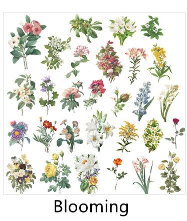 [Free Shipping] 60/360 pcs Vintage Large Flower Floral Botanical Washi Stickers Flowers/Butterflies/Antique/Plants/Birds